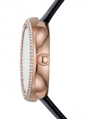 Women's Analog Watch