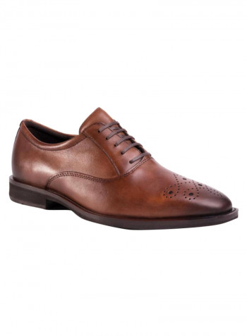 Calcan Plain-Toe Oxford Brown
