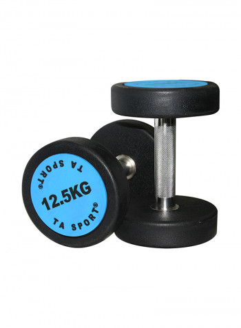 Round Rubber Dumbbell 12.5kg