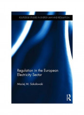 Routledge Research In Energy Law And Regulation: Regulation In The European Electricity Sector Hardcover