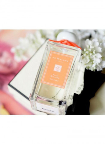 Plum Blossom Cologne 100ml