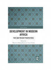 Development In Modern Africa: Past And Present Perspectives Hardcover الإنجليزية - 2019
