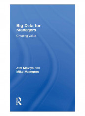 Big Data For Managers Hardcover 1st Edition