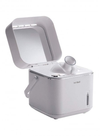 Face Steamer