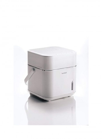Face Steamer
