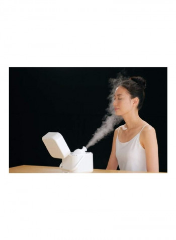 Face Steamer