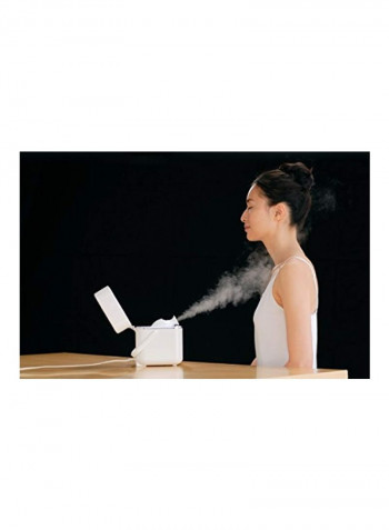 Face Steamer