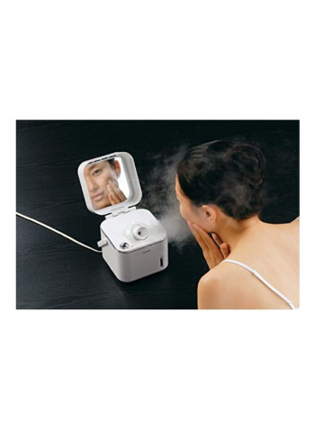 Face Steamer