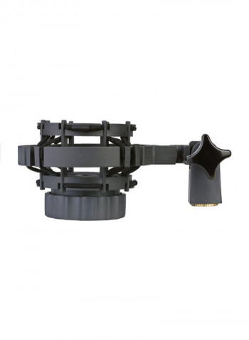 High-Performance Large Diaphragm Condenser Microphone C3000 Black