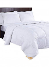 Cotton Duvet Down Comforter White Queen reviews Cotton Duvet Down Comforter White Queen