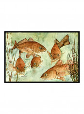 Color Printed Doormat Multicolour 24x36x0.25inch