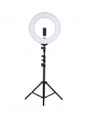 8-Piece Bi-Colour Dimmable Ring Photography Light Set 14inch White/Black