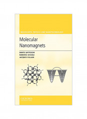 Molecular Nanomagnets Hardcover