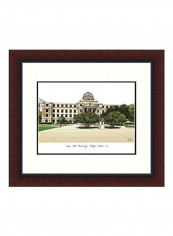 Texas A And M University Framed Wall Print Brown/Green/White 18x16inch