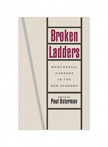 Broken Ladders: Managerial Careers in the New Economy Hardcover