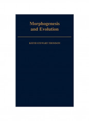 Morphogenesis And Evolution Hardcover