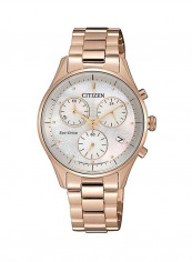 Women's Eco-Drive Chronograph Watch FB1442-86D reviews Women's Eco-Drive Chronograph Watch FB1442-86D