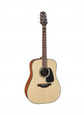 GD10-NS Dreadnought-Style Guitar