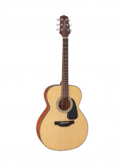 GN10-NS NEX Acoustic Guitar