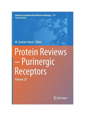 Protein Reviews - Purinergic Receptors : Volume 20 Hardcover