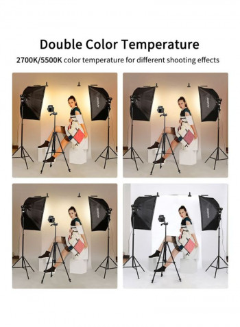 LED Photography Softbox Light Set Black