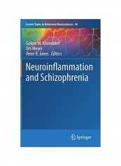 Neuroinflammation And Schizophrenia Hardcover