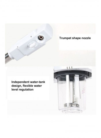 2-In-1 LED Humidifier Sprayer White