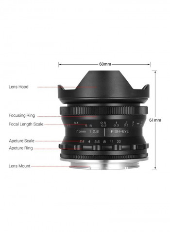 Manual Focus Wide Angle Fisheye Lens 6.1x6cm Black