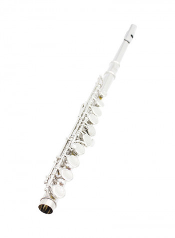16 Holes C Key Western Concert Flute with Case