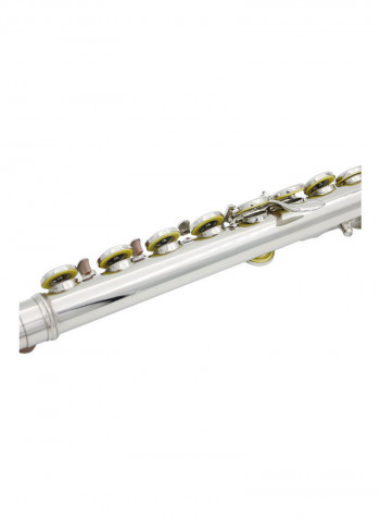16 Holes C Key Western Concert Flute with Case