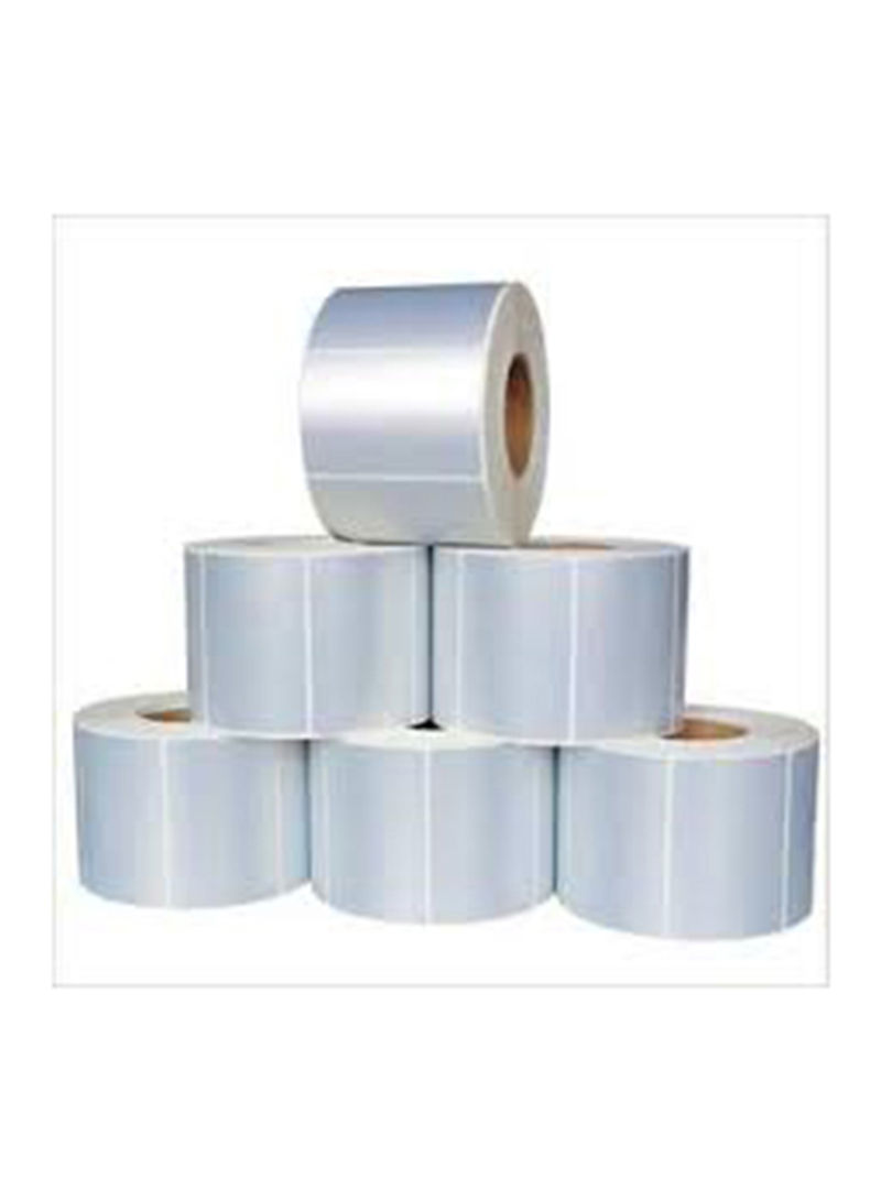 Pack Of 6 Synthetic Labels Roll Clear