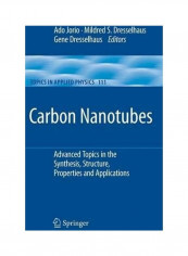 Carbon Nanotubes Hardcover English by Ado Jorio