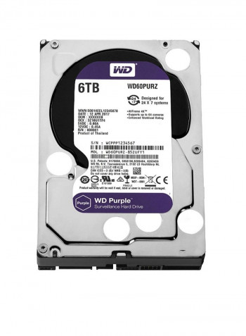 Surveillance Hard Drive 6TB Black