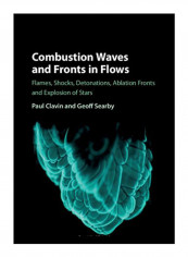 Combustion Waves And Fronts In Flows Hardcover