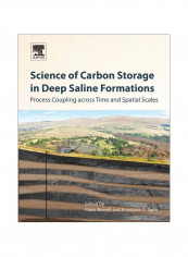 Science Of Carbon Storage In Deep Saline Formations Paperback 1st Edition