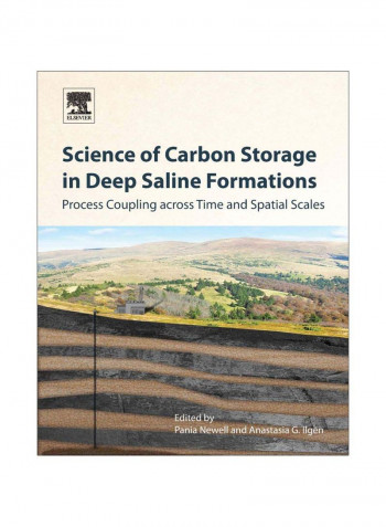 Science Of Carbon Storage In Deep Saline Formations Paperback 1st Edition