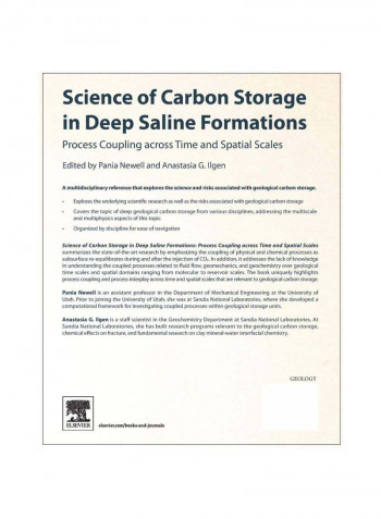 Science Of Carbon Storage In Deep Saline Formations Paperback 1st Edition