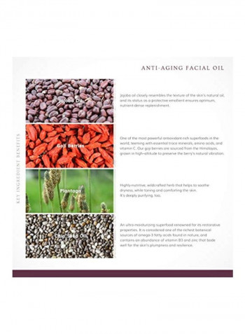 Anti-Aging Facial Oil 30ml