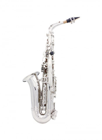 Saxophone Set