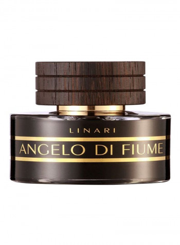 ماء عطر أنجيلو دي فيوم EDP 100مل