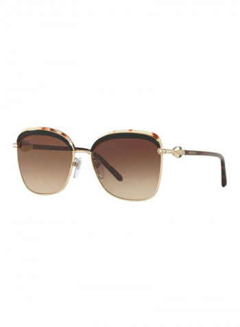 Women's Oversized Sunglasses