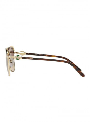 Women's Oversized Sunglasses