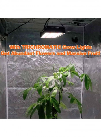 Light Succulent Plant Growth Light Multicolour 36x24x11centimeter