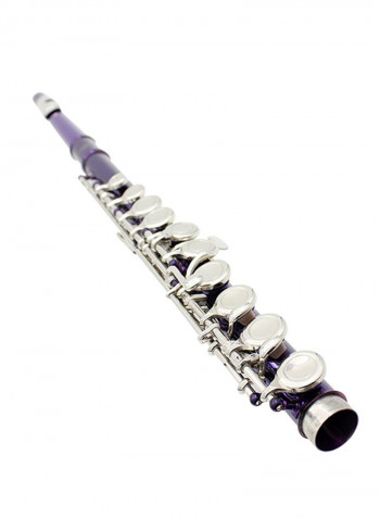 17 Hole Flute