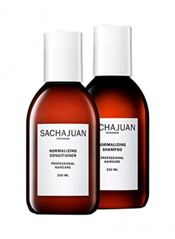 Normalizing Conditioner 250ml