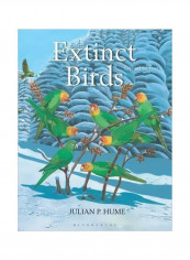 Extinct Birds Hardcover