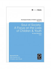 Soul Of Society: A Focus On The Lives Of Children And Youth Hardcover