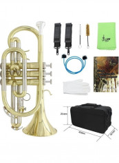 Flat Cornet Set reviews Flat Cornet Set