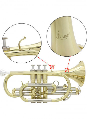 Flat Cornet Set