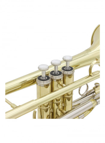 Flat Cornet Set